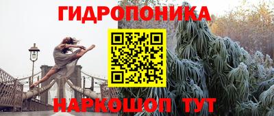 спиды Рыбинск