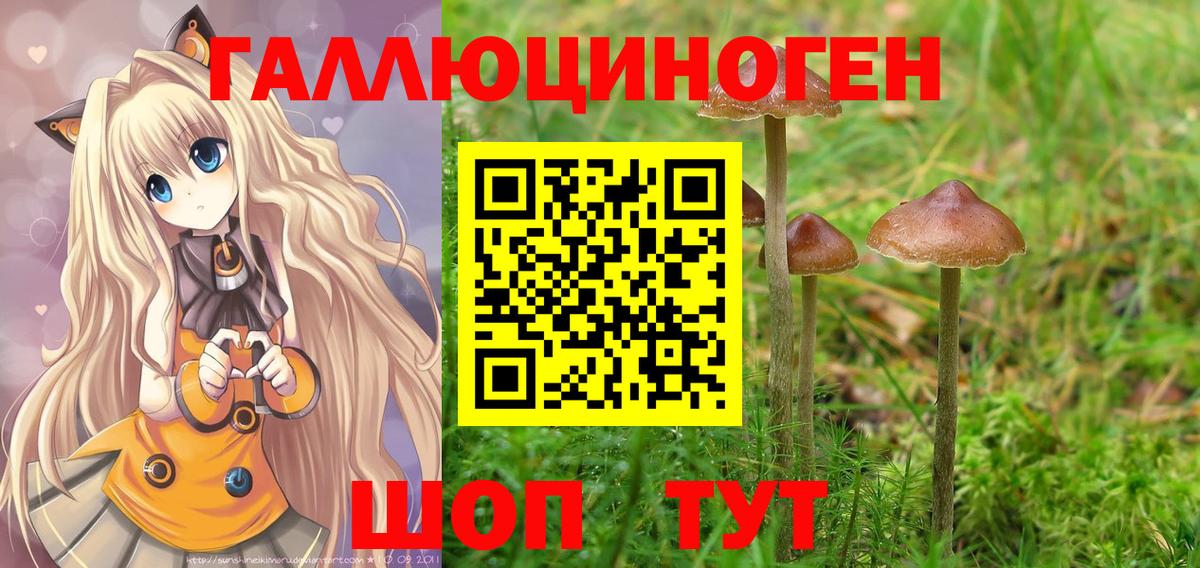 Усинск  Псилоцибиновые грибы мухоморы  Вход с VPN 